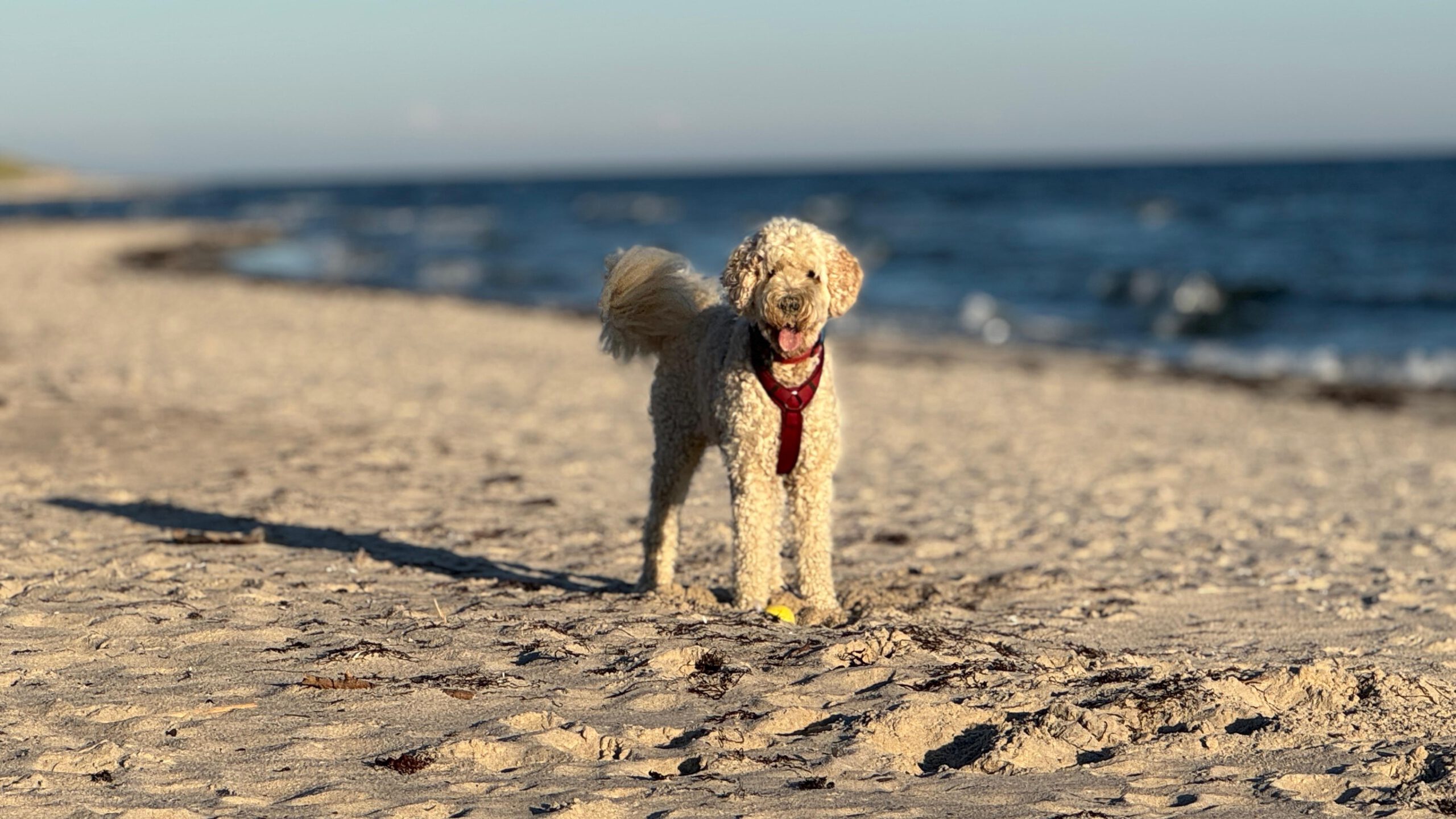 charlie3
